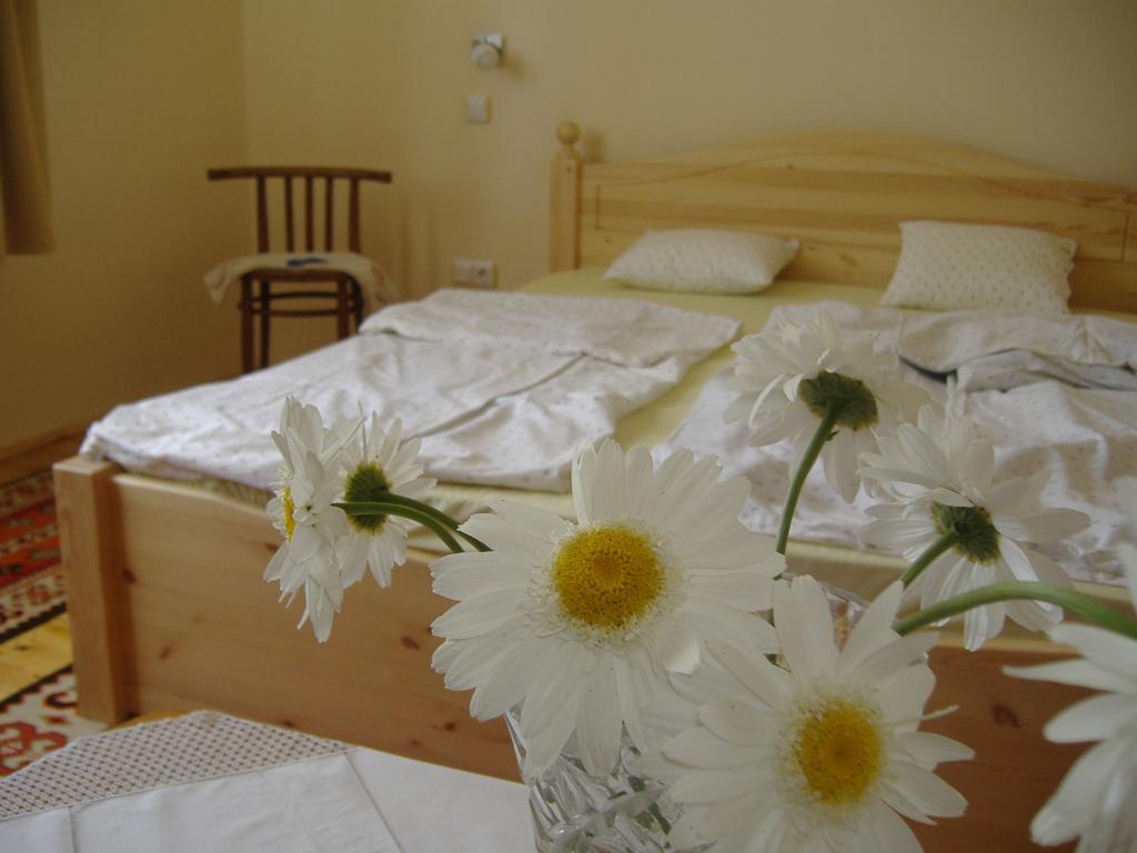 Örömvölgy Vendégház Bozsva Habitación foto
